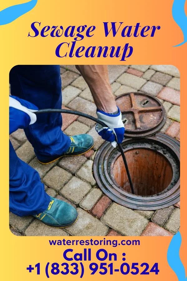 Sewage Water Cleanup in New Odanah, WI